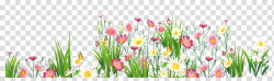 Flower Grasses , Flowers and Grass , yellow and pink flower ...