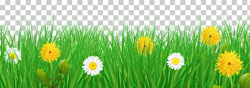Flower , Grass and Flowers Transparent , yellow and white ...