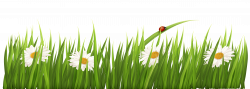 White Flowers with Grass Transparent PNG Clipart | Gallery ...