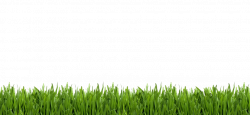Grass clipart golf, Grass golf Transparent FREE for download ...