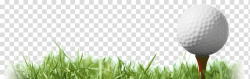 Golf ball illustration, Golf Balls Golf course Masters ...