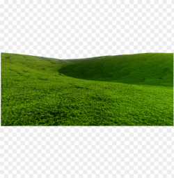hill clipart grass mound - grass hill transparent background ...