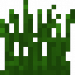 Tall Grass | Minecraft Bedrock Wiki | Fandom