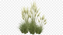 Family Tree Background clipart - Grass, Plant, Tree ...