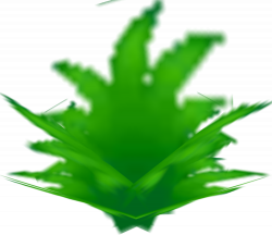 3DS - Pokémon Omega Ruby / Alpha Sapphire - Tall Grass - The ...