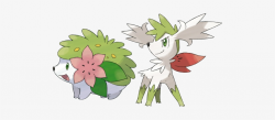 Shaymin Is A Grass-type Legendary Pokémon - Grass Type ...