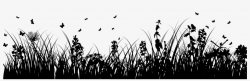 Privacy Policy - Silhouette Grass Flowers Png - Free ...