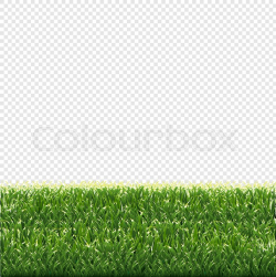Green Grass Transparent Background, ... | Stock vector ...