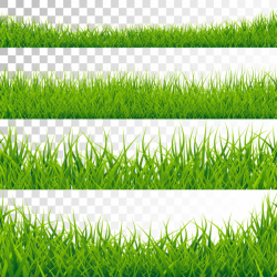 Green grass border set on transparent background Vector ...
