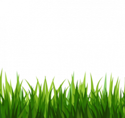 Grass images download free grass transparent backgound ...
