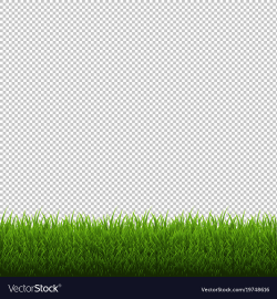 Grass border isolated transparent background