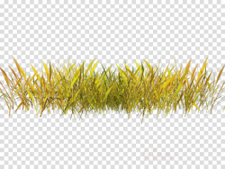 Drawing Of Family clipart - Drawing, Yellow, Grass ...