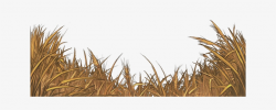 Yellow Field Grass Png Transparent PNG - 640x500 - Free ...