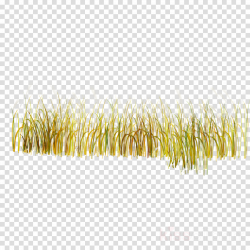 Grass Cartoon clipart - Yellow, Grass, Plant, transparent ...