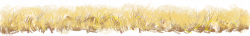Yellow grass png 2 » PNG Image