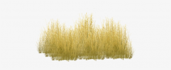 Tall Grass Png Savannah Grass - Yellow Grass Png - Free ...