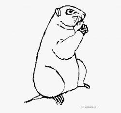 Groundhog Clipart Black And White - Groundhog Coloring Page ...