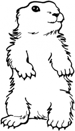 Groundhog coloring page | Free Printable Coloring Pages