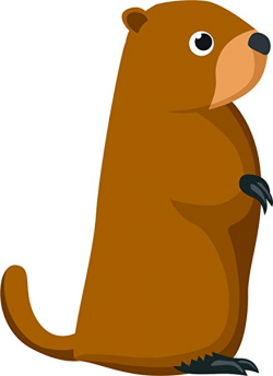 Amazon.com: Cute Gopher Groundhog Funny Animal Garden ...
