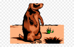 Vertebrate,Groundhog,Mammal,Gopher,Groundhog day,Marmot ...