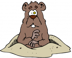 Free Pictures Of Groundhogs, Download Free Clip Art, Free ...