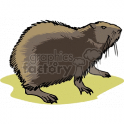 Woodchuck clipart. Royalty-free GIF, JPG, PNG, WMF clipart ...