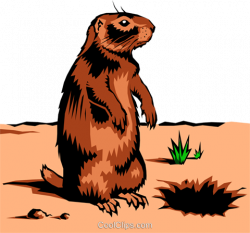 Gopher Royalty Free Vector Clip Art illustration -anim0222 ...