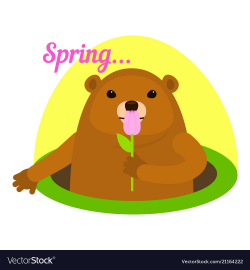 Groundhog at spring icon flat style