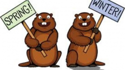 Saturday is Groundhog Day, here\'s what to expect | WJAR