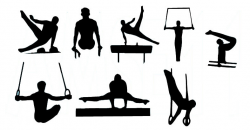 Free Male Gymnast Cliparts, Download Free Clip Art, Free Clip Art on ...