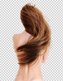 Download for free 10 PNG Back clipart hair top images at ...