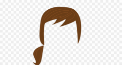 Hair Ponytail PNG Ponytail Brown Hair Clipart download - 640 ...