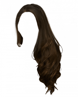Download Hair Clip Art Png - Transparent PNG -() png images ...