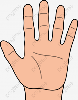 Left Hand Cartoon Hd, Cartoon Clipart, Palm, Five Fingers PNG ...