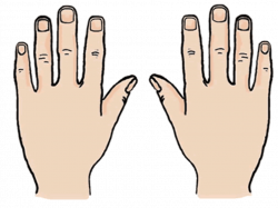 54+ Hand Clipart | ClipartLook