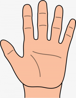 Left Hand Cartoon Hd, Cartoon Clipart, Palm, Five Fingers PNG ...