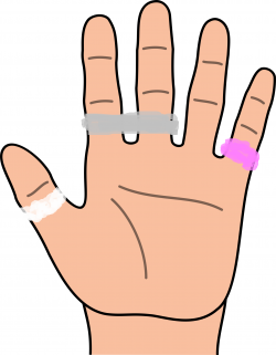 Pin by Boy De Francia on palm line reading | Hand clipart, Teaching ...