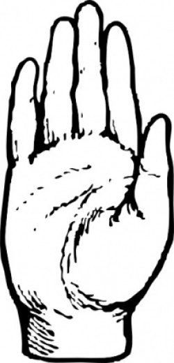 Hand Palm Outline | Clipart Panda - Free Clipart Images