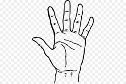 Hand Point png download - 441*600 - Free Transparent Hand png Download.