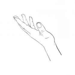 Hand Drawn Woman Hand Vector | SOIDERGI