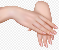 Hand, Woman, Manicure, transparent png image & clipart free download