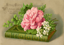 4 Happy Birthday Flower Images! - The Graphics Fairy