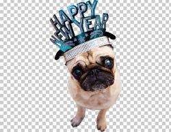 Happy New Year Dog PNG, Clipart, Happy New Year, Holidays Free PNG ...