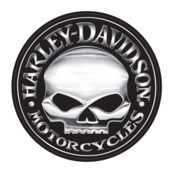 Details about Harley-Davidson Decal, Silver Willie G Skull Logo, X-Large 29  Inch CG4331