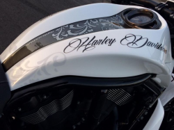 ⛔ Review of Harley-Davidson V Rod Airbrush by DGD Custom ▷