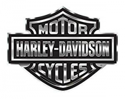 HARLEY-DAVIDSON Bar & Shield Logo Decal, X-Large 30 x 40 in, Gray & Black  CG4330