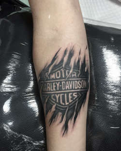 125+ Harley Davidson Tattoos: Unleash the Biker within You ...