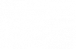 White Lightning Harley-Davidson® - New & Used Motorcycles ...