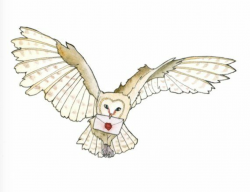 Owl Post Art Print, Harry Potter Fan Art, Owl Delivering Mail ...