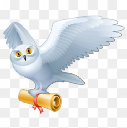 Harry potter owl clipart 5 » Clipart Station